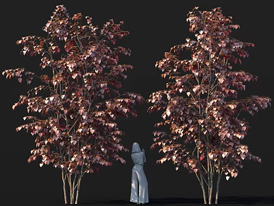 Two Shrubs With Purple Red Leaves And White Robed Figure On Black Background 3d model