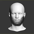 Modern Beard Model Beard 3d model