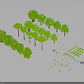 Collection of Various Green Plants with Different Sizes Shapes and Decorative Details