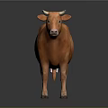 3D Rendered Orange Cow Standing On Black Background With Clear Reflection