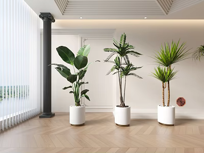 Modern Interior Decor With Potted Plants In White Pots Wooden Floor And Large Windows 3d model