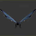 Stunning Blue Butterfly With Black Edged Wings On Dark Gradient Background