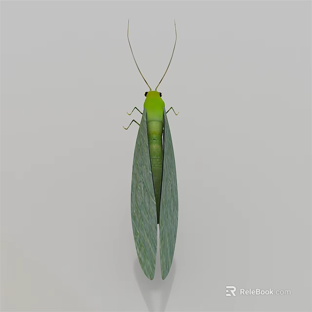 Green Flying Insect With Long Transparent Wings Slender Body And Antennae 3d model 