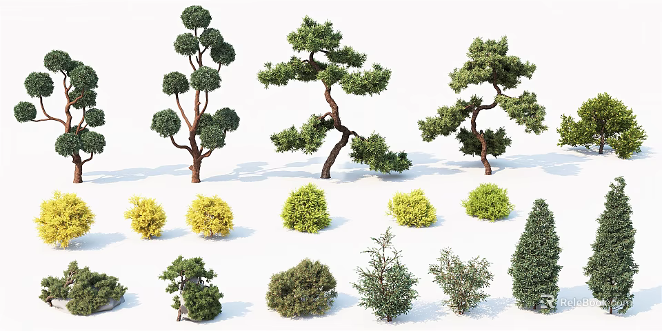 Diverse Arbor Trees With Different Shapes Sizes And Foliage Colors For Landscaping 3d model 