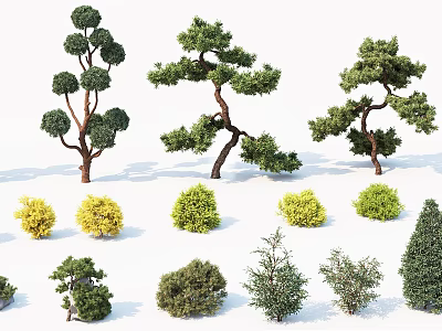 Diverse Arbor Trees With Different Shapes Sizes And Foliage Colors For Landscaping 3d model