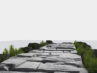 Natural Stone Slabs Garden Path Paving With Green Grass And Rocks 3d model