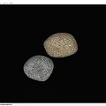 Two Natural Rockery Stones With Brown And Gray Textured Surfaces On Blue Background