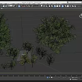Diverse Arbor Trees Collection With Various Sizes Green Foliage And Heights