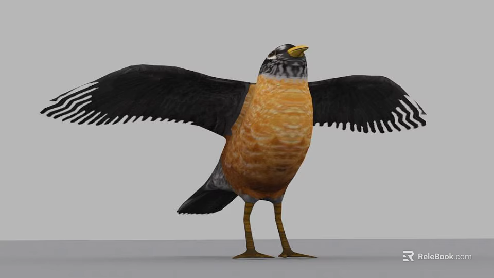 Realistic Bird Standing With Spread Black Wings Orange Breast And Yellow Beak 3d model 