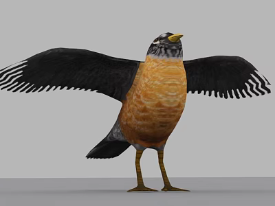 Realistic Bird Standing With Spread Black Wings Orange Breast And Yellow Beak 3d model