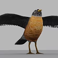 Realistic Bird Standing With Spread Black Wings Orange Breast And Yellow Beak