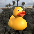 Yellow Rubber Duck on Coastal Rocks with Palm Trees and Bridge View