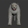 Snow Leopard 3D Model with White Fur and Black Spots Open Mouth on Black Background