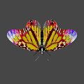 Vibrant Colorful Butterfly Artwork With Geometric Patterns And Bright Hues