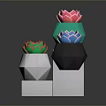 Colorful Succulent Plants in Geometric Pots on White Cube Bases with Dark Background