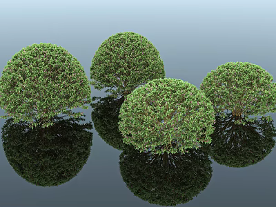 six trees, cappella plant, green plant, green separation zone, urban landscape park, landscaping garden, grass, bushes, decorative flowers and plants, beautiful old grass 3d model