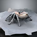 Detailed Spider Model With Red And Black Abdomen On Textured White Surface