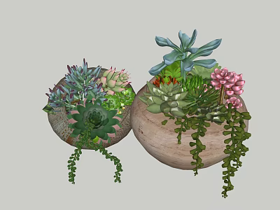 Patio Garden With Terracotta Pots Filled With Succulents Pink Flowers And Hanging Plants 3d model