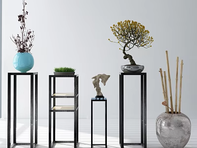 Stylish Bonsai Tree And Potted Plants On Black Stands With White Background Indoor Decor 3d model