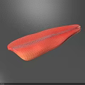 Fresh Raw Salmon Fillet With Orange Red Striped Texture For Cooking
