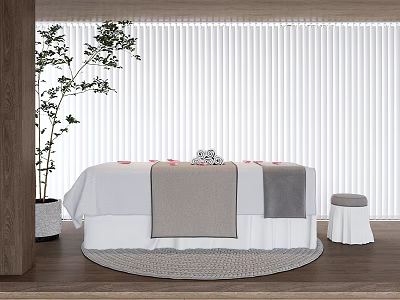 Serene Massage Bed with White Blinds Green Plant Small Stool and Soft Linen 3d model