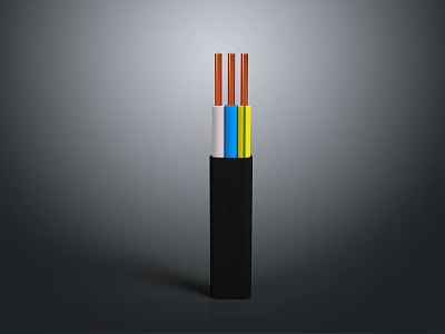Household Supplies Black Cable With Red Blue Yellow White Wires Inside 3d model