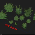 Raspberry Crops With Various Size Growing Plants Arranged In A Grid Pattern 3d model