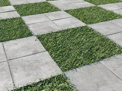 Gray Paving Tiles And Green Grass In Alternating Checkerboard Outdoor Pattern 3d model