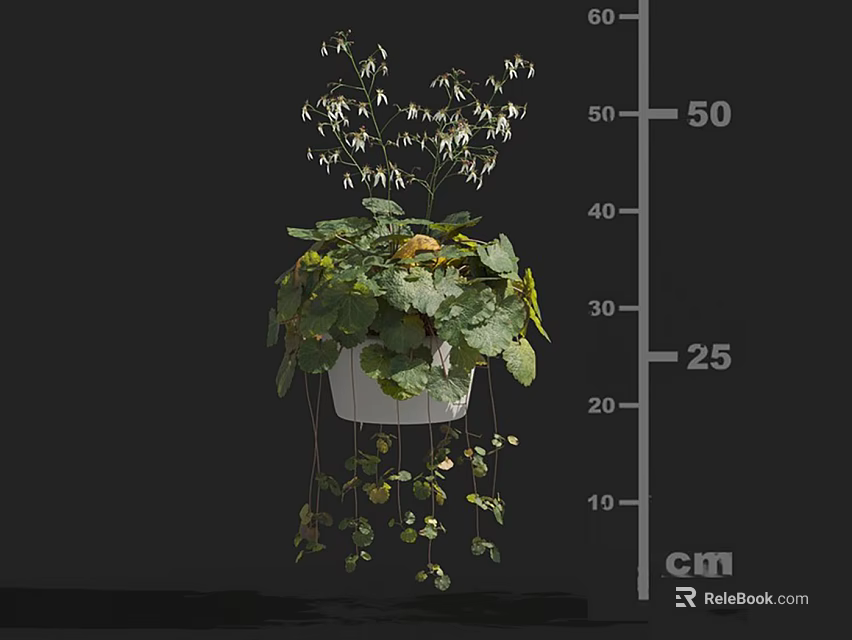 Beautiful Hanging Flowering Plants With White Flowers Trailing Vines In White Pot 3d model 