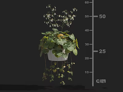 Beautiful Hanging Flowering Plants With White Flowers Trailing Vines In White Pot 3d model