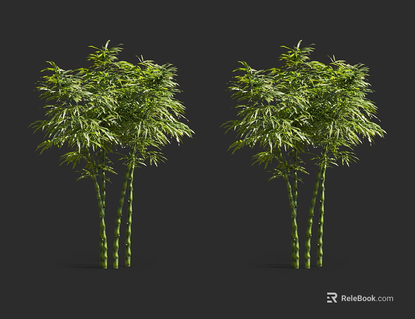 Lush Green Bamboo Plants With Vibrant Leaves And Sturdy Green Stems 3d model 