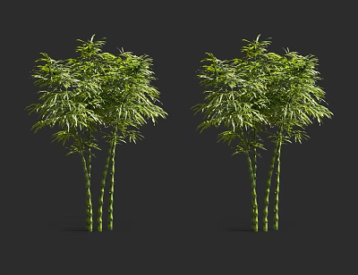 Lush Green Bamboo Plants With Vibrant Leaves And Sturdy Green Stems 3d model