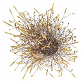 Elegant Decorative Ornament Set with Golden Wheat Ears Bouquet in Black Vase