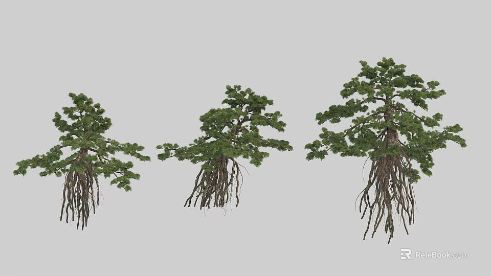 Lush Foliage Trees With Exposed Roots and Varied Growth Forms 3d model 