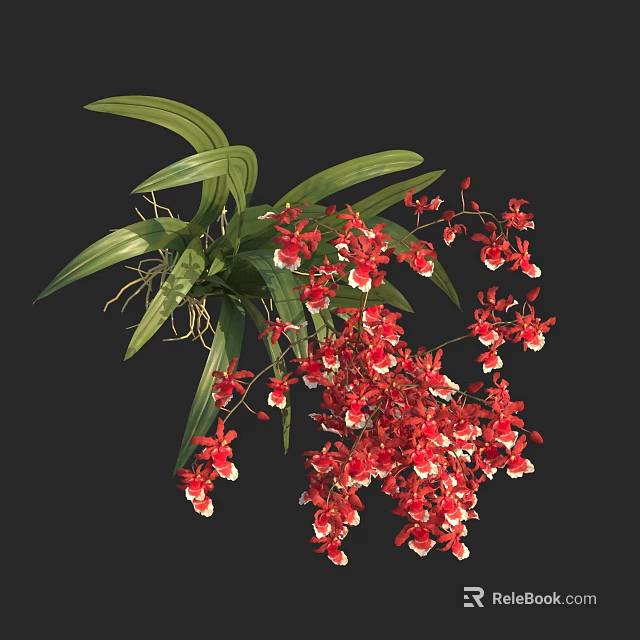 Blooming Red And White Orchid Flowers With Green Leaves And Lush Vines 3d model 