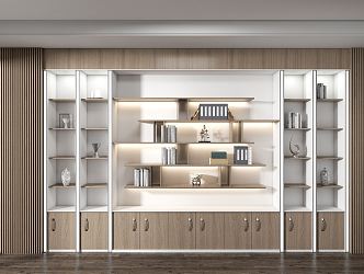 Modern Bookcase Display Cabinet 3d model