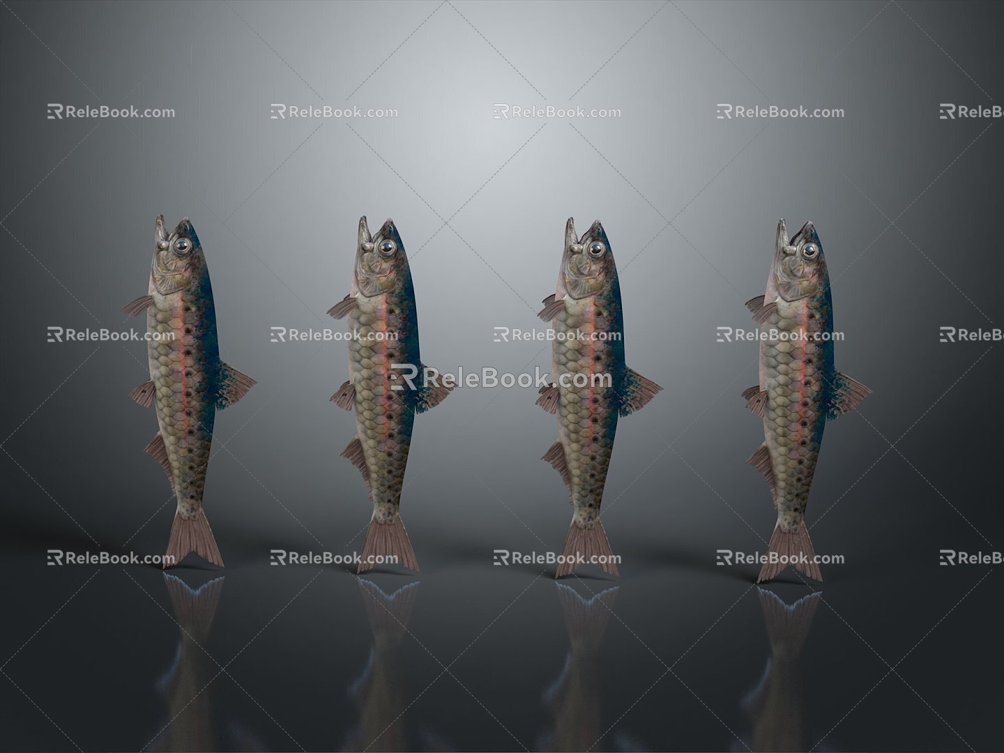 Catfish Carp Sturgeon Bass Freshwater Fish Various Carp Grass Carp Crucian Carp 3d model