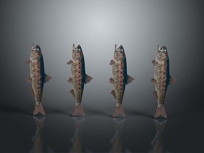 Catfish Carp Sturgeon Bass Freshwater Fish Various Carp Grass Carp Crucian Carp 3d model