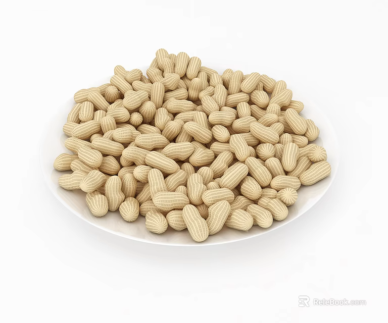 Close Up View of Peanuts in Shell on White Ceramic Plate 3d model 