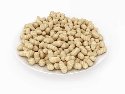 Close Up View of Peanuts in Shell on White Ceramic Plate 3d model