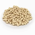 Close Up View of Peanuts in Shell on White Ceramic Plate 3d model