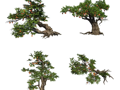 Various Arbor Trees With Green Leaves Fruits And Diverse Trunk Shapes 3d model
