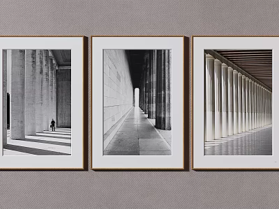 Framed Black And White Architectural Photographs With Columns Corridor And Light Shadow 3d model