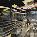 Cultural Center Exhibition Area With Dinosaur Skeletons Animal Specimens And Orange Sky Ceiling