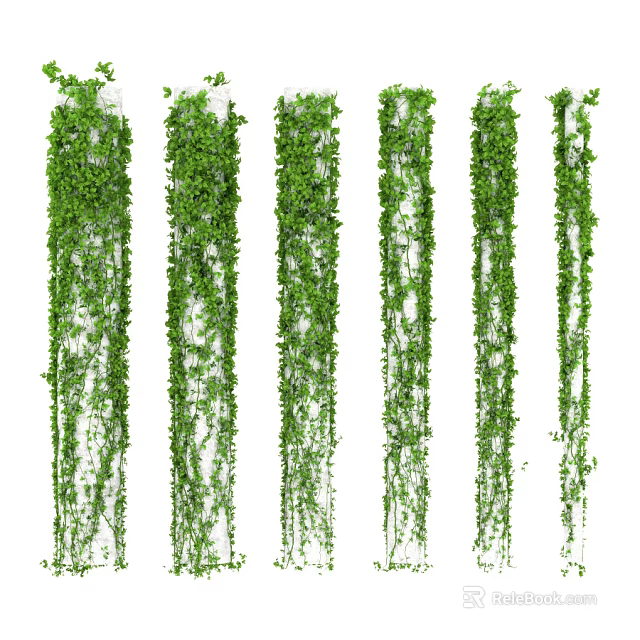 Lush Green Hanging Vines With Various Trailing Styles And Dense Leafy Foliage 3d model 