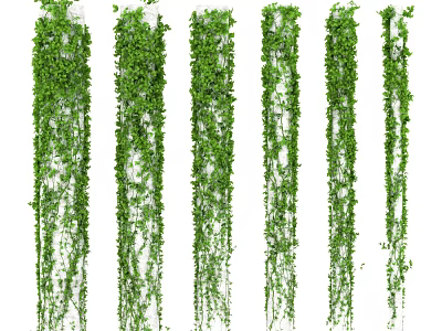 Lush Green Hanging Vines With Various Trailing Styles And Dense Leafy Foliage 3d model