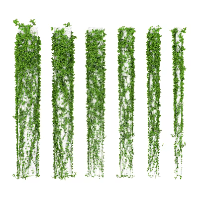 Lush Green Hanging Vines With Various Trailing Styles And Dense Leafy Foliage 3d model