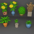 Various Decorative Potted Plants With Yellow Flowers Green Spherical And Brown Leaf In Colorful Pots