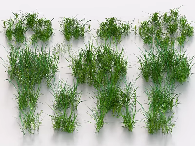 Fresh Green Grass And Various Plants Artistic Arrangement On White Background 3d model