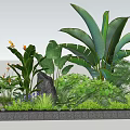 Tree Pit with Lush Green Plants Tropical Foliage Small Stones and Natural Design